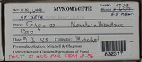 Image Associated With the Occurence